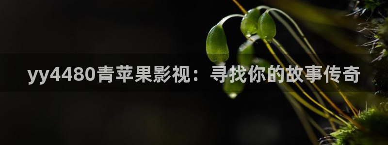 丝瓜视频成人影院