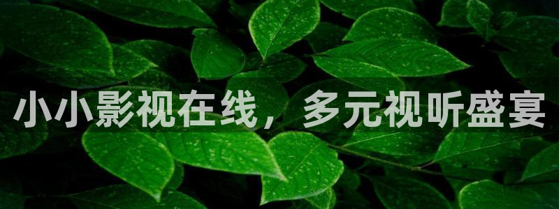 丝瓜影院免费在线观看