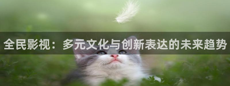 丝瓜片：全民影视：多元文化与创新表达的未来趋势