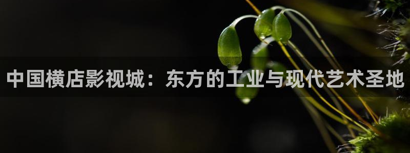 丝瓜影院色：中国横店影视城：东方的工业与现代艺术圣地