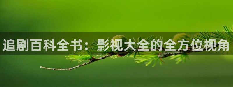 丝瓜视频电影：追剧百科全书：影视大全的全方位视角