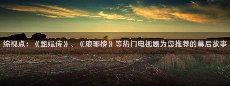 大丝瓜视频：综视点：《甄嬛传》、《琅琊榜》等热门电视剧为您推荐的幕后故事