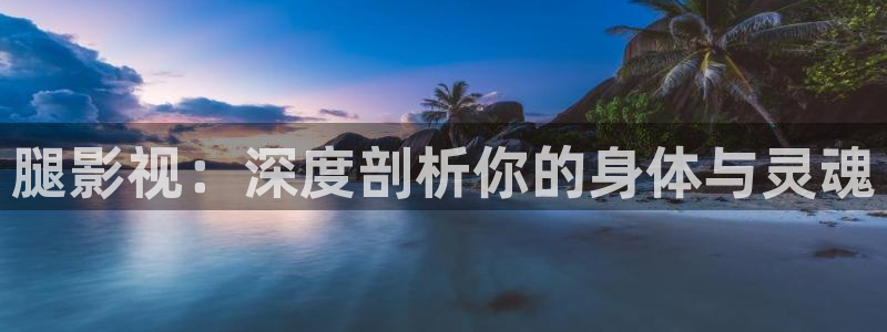 丝瓜井社区：腿影视：深度剖析你的身体与灵魂